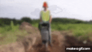 hình ảnh máy đầm cóc hoạt động